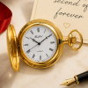 Gold Plated 17 Jewel Mechanical Half Hunter Pocket Watch